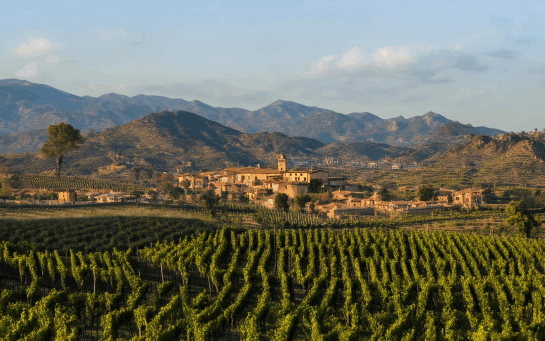 Unveiling the Best Wine Tasting Regions: Top Spots from Napa to La Rioja