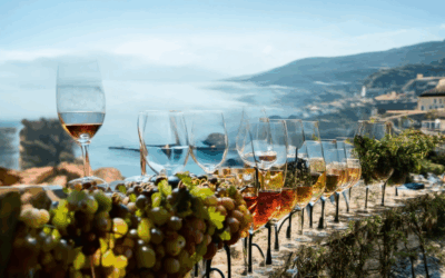 Perfecting Wine Tasting and Travel: Expert Tips for Every Aspect