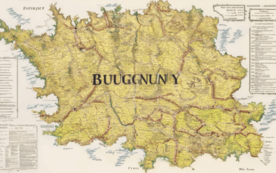 Exploring the Best Wine Regions in Burgundy: A Map and Guide to France’s Premier Wine Country