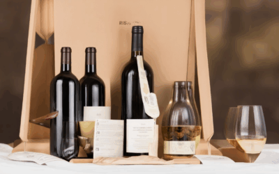 Unveiling What’s Inside a Comprehensive Wine Tasting Kit with Guide