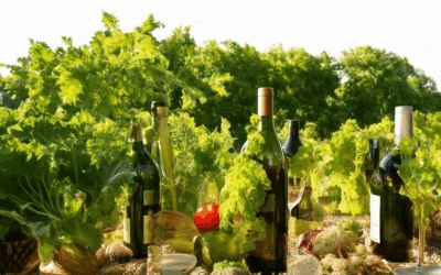 Unlocking the Perfect Wine and Garden Pairing Guide: Vegetables and Wines That Delight