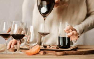 The Best Wine Tasting Kits for Experts: Mastering Wine Flavor Like a Pro