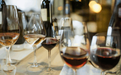 Discovering the Best Months for Wine Tasting During the Holidays: Top Wineries and Destinations Near You