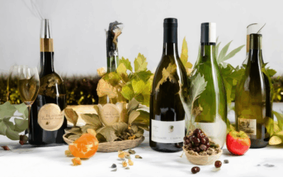 Unveiling the Golden Rules: Wine and Nature Pairings