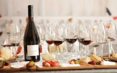 Elevate Your Birthday Celebration with a Wine Tasting Party: A Comprehensive Guide