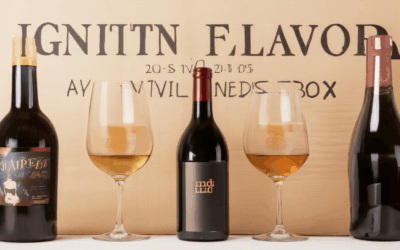 Igniting Flavor: Are Wine Tasting Boxes Worth It? Exploring the 20/20/20 Rule, 5 S’s, and Vinebox Options