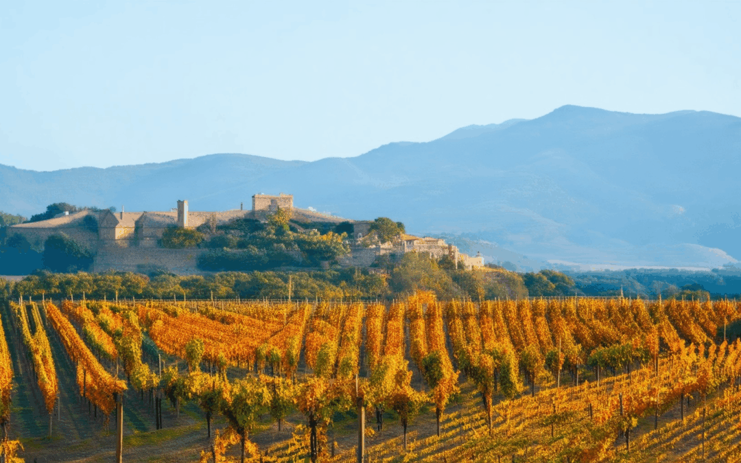 The Ultimate Guide to Exploring the Best Wine Regions for Wine Lovers