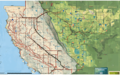 Is Napa or Sonoma Better for Wine Lovers? Explore California’s Top Wine Regions with Our Detailed Map Guide